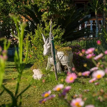 In With Sea View, Balcony, Air Conditioning, Wifi Appartement Kampor