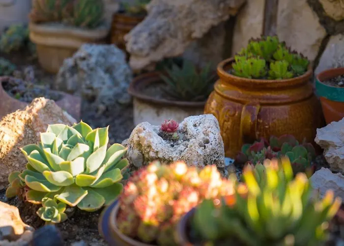 Appartement In With Sea View, Balcony, Air Conditioning, Wifi