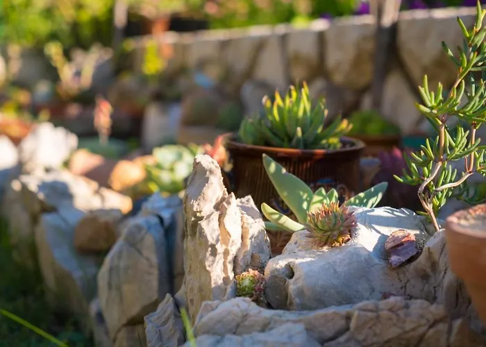 In With Sea View, Balcony, Air Conditioning, Wifi Appartement *