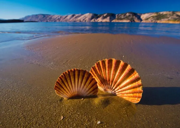 Appartement In With Sea View, Balcony, Air Conditioning, Wifi *